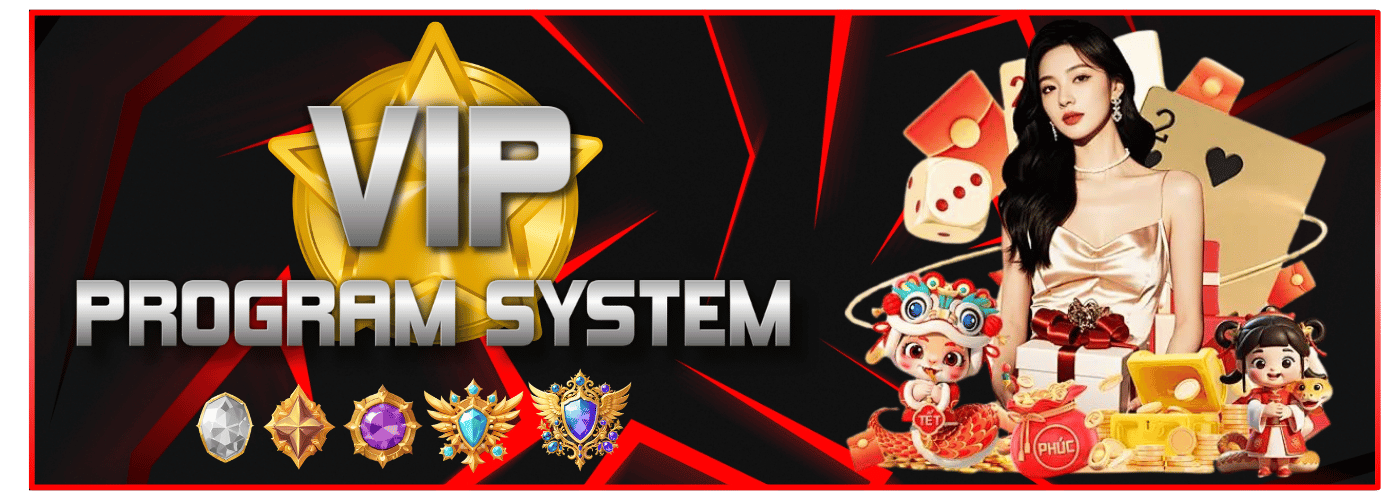 VIP Program Model Image